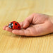 BumbuToys Handcrafted Wooden Animal Figure Ladybug Insect for Small World Play from Australia