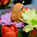 BumbuToys Handcrafted Wooden Animal Rabbit Perching from Australia with flowers