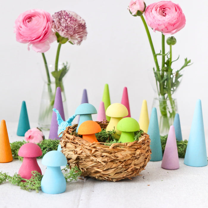 Grimm's Pastel Sorting Mushrooms and Forest Pastel Cones from Australia