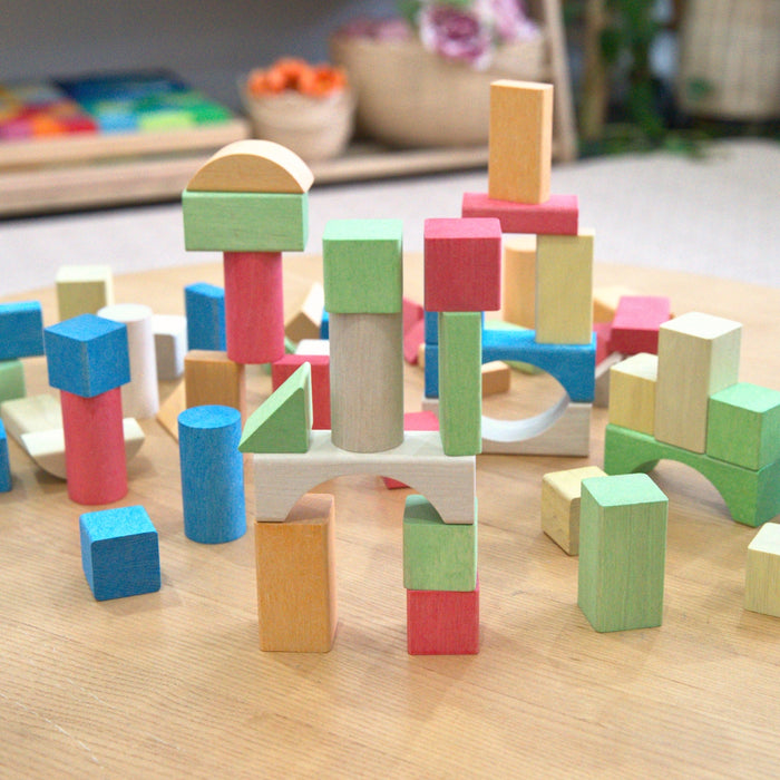 nic Wooden Toy Building Blocks 58 Blocks plant-based dyes from Australia