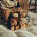 OETCOZ-COZ-CC-O Olli Ella Cozy Dinkums Teddy - Twiggy