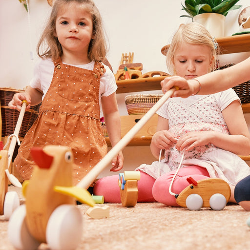 Pfingstweid Wooden Toys for Toddlers and Preschoolers from Australia