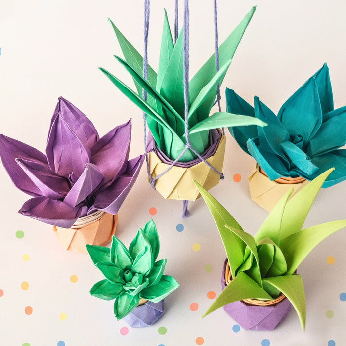 Succulent and Plants Origami using URSUS Folding Paper Pastel, 10 Colours from Australia