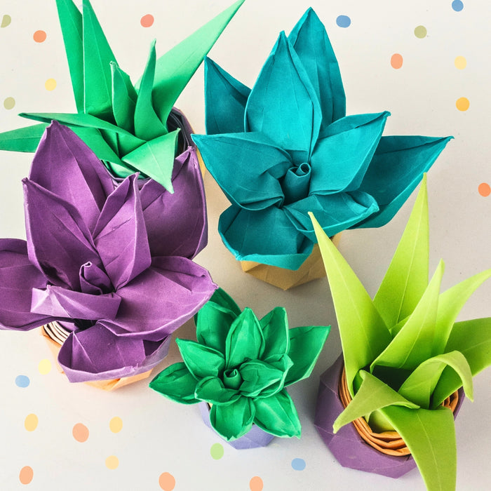 Succulent and Plants Origami using URSUS Folding Paper Pastel, 10 Colours from Australia