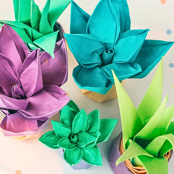 Succulent and Plants Origami using URSUS Folding Paper Pastel, 10 Colours from Australia