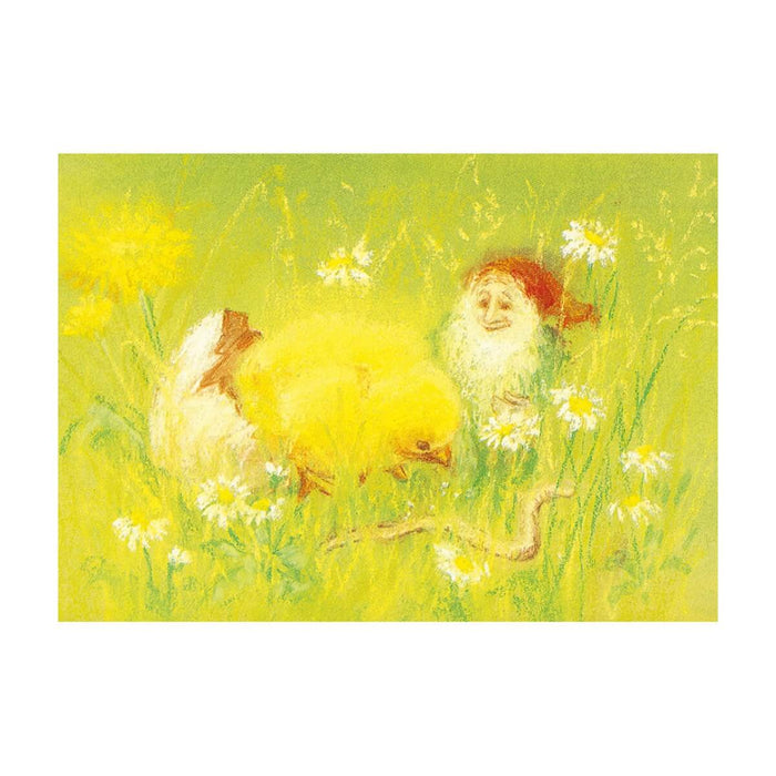 95254410 Postcards- Little Chicken 5 pk