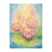 95254343 Postcards - Nymphaea 5 pk